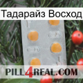 Тадарайз Восход 24